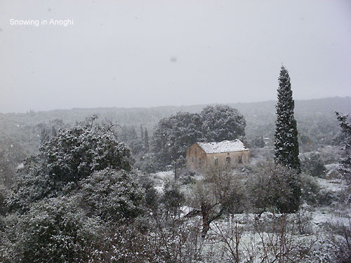 cLICK ON PHOTO FOR MORE PICS OF SNOW IN ANOGHI ITHACA 