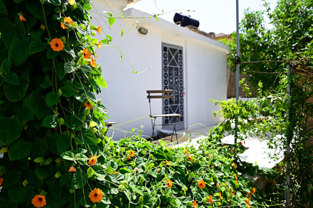 Asteraki Studio